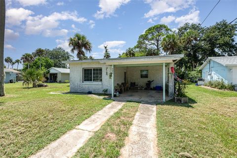 A home in NEW SMYRNA BEACH