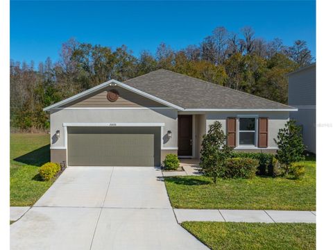Photo of 20076 Azul Marble Loop, Land O Lakes, FL 34638 (MLS # TB8470968)
