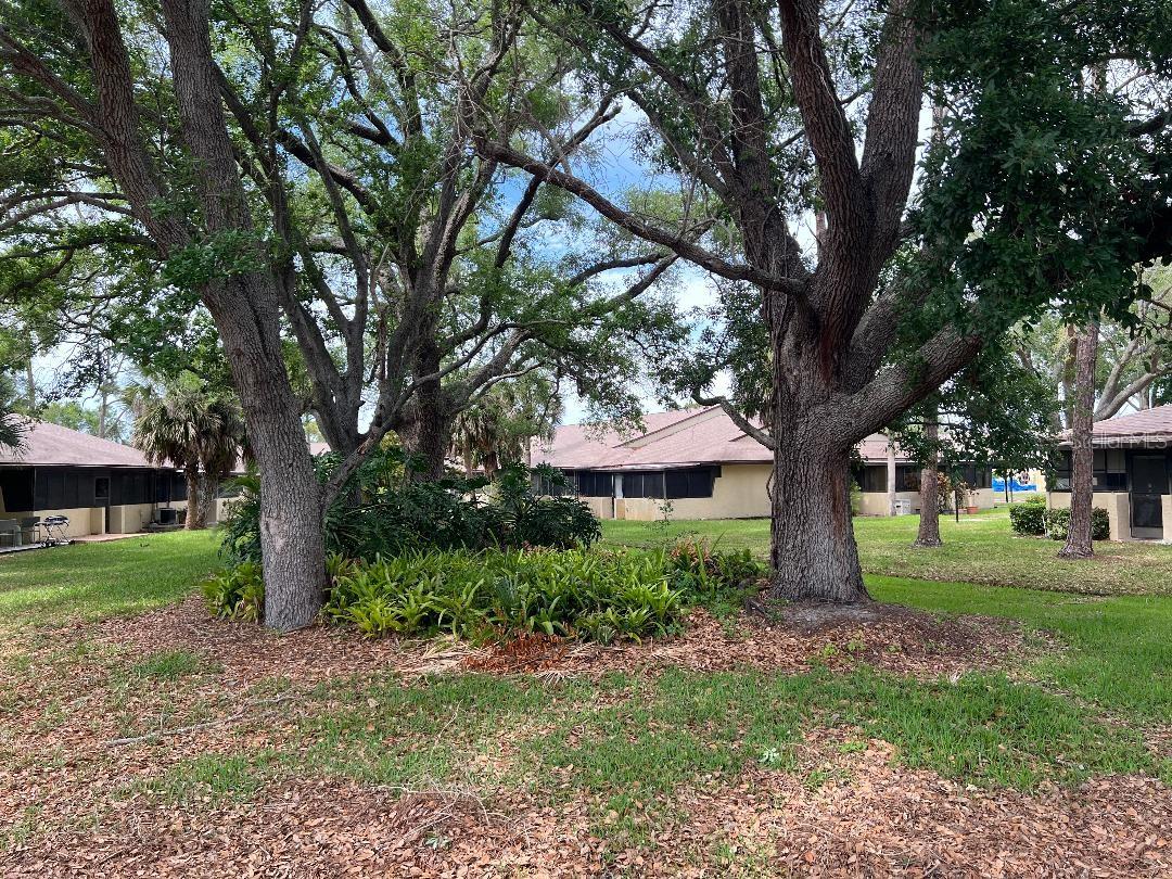 NEW HAVEN CONDO - Residential