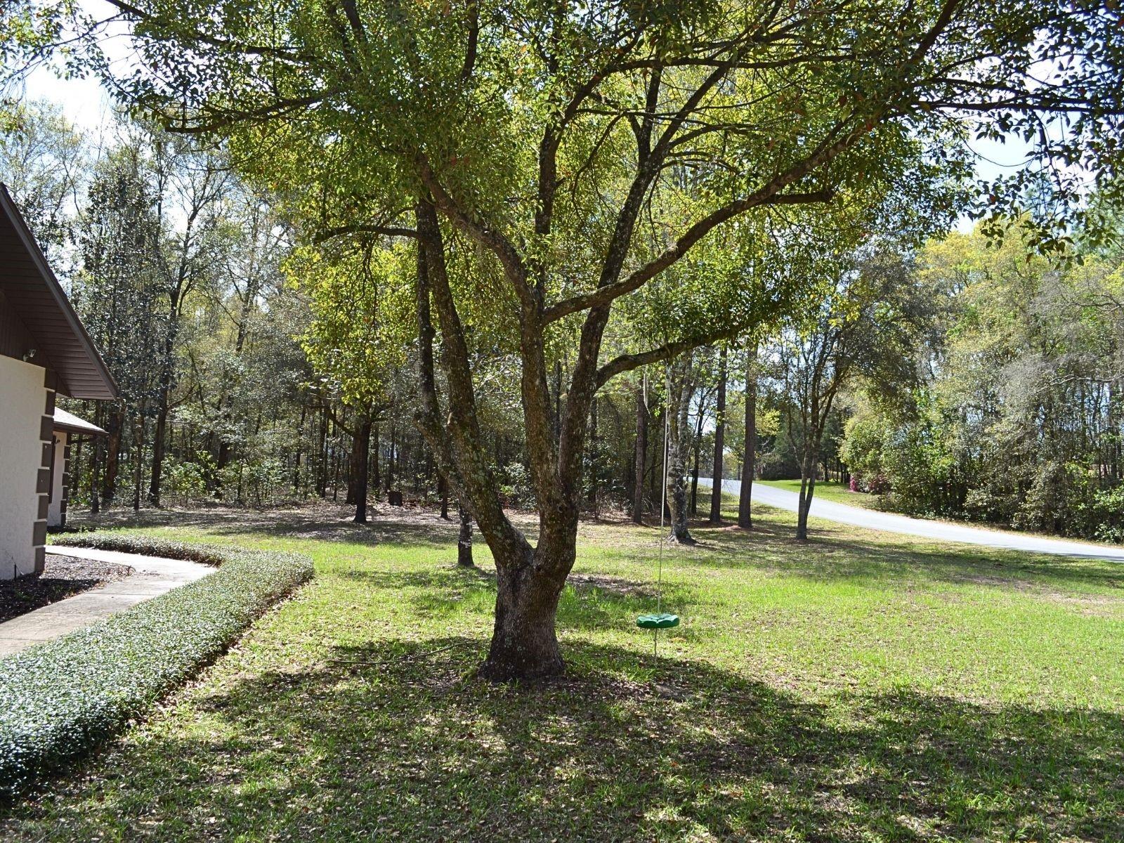 RAINBOW SPGS 04 REP - Residential