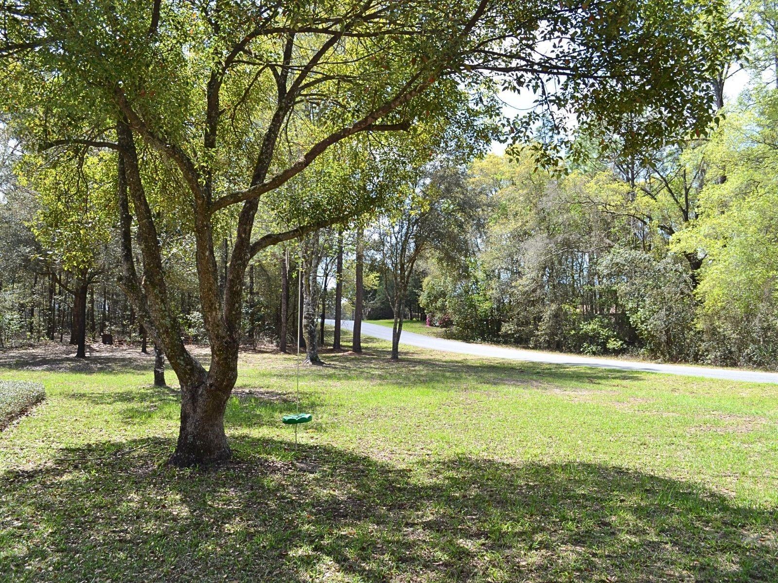 RAINBOW SPGS 04 REP - Residential