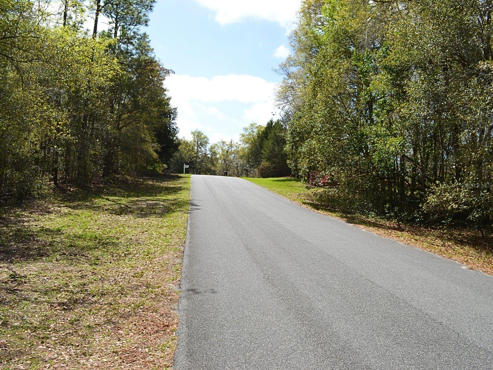 RAINBOW SPGS 04 REP - Residential