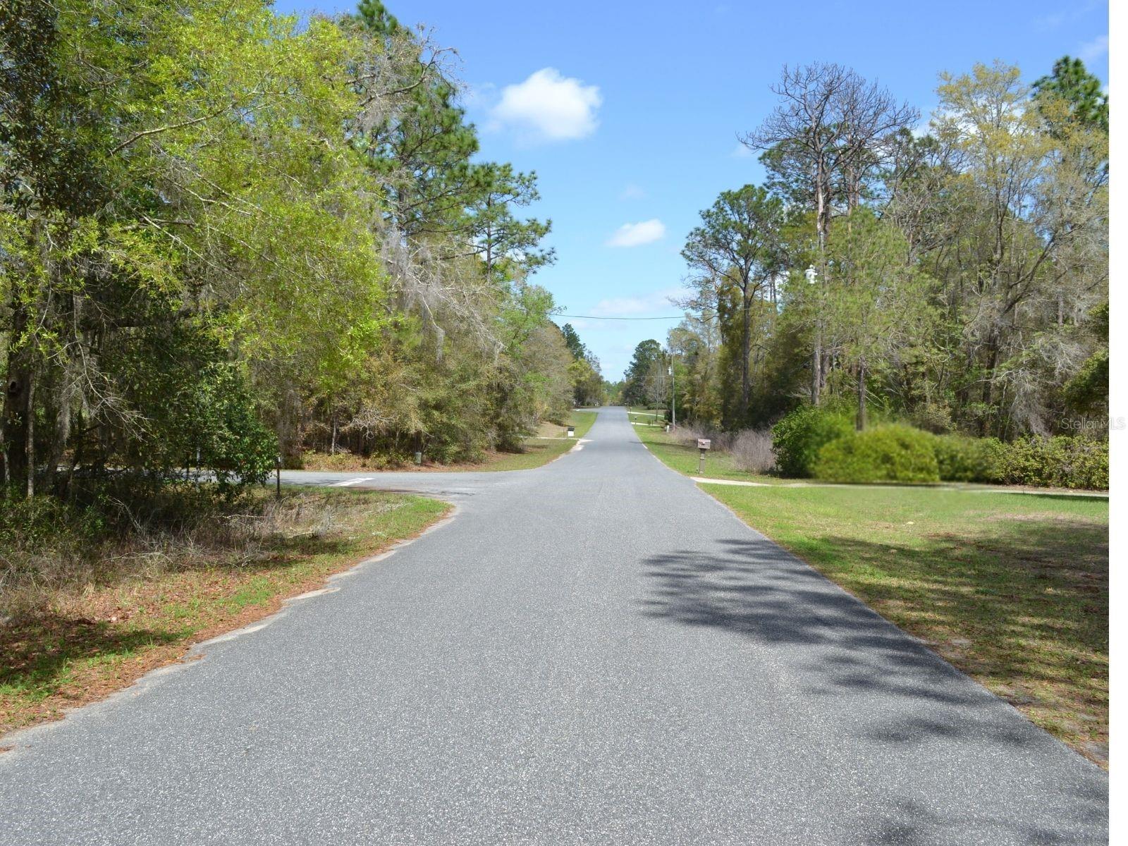 RAINBOW SPGS 04 REP - Residential