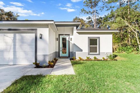 A home in CITRUS SPRINGS