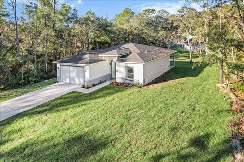 A home in CITRUS SPRINGS