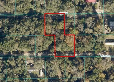 3153 NE 160TH LANE CITRA FL 32113