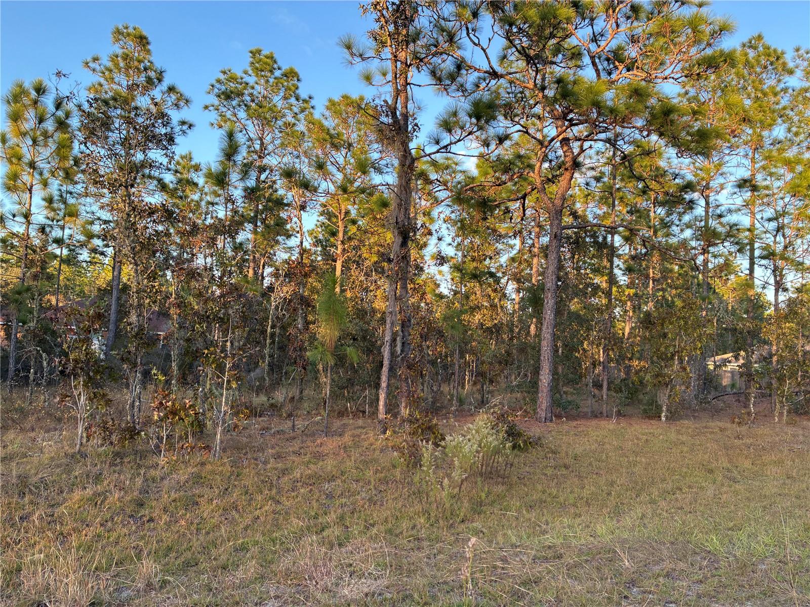 WILLISTON HYLNDS GOLF & C CLUB ESTATE - Land