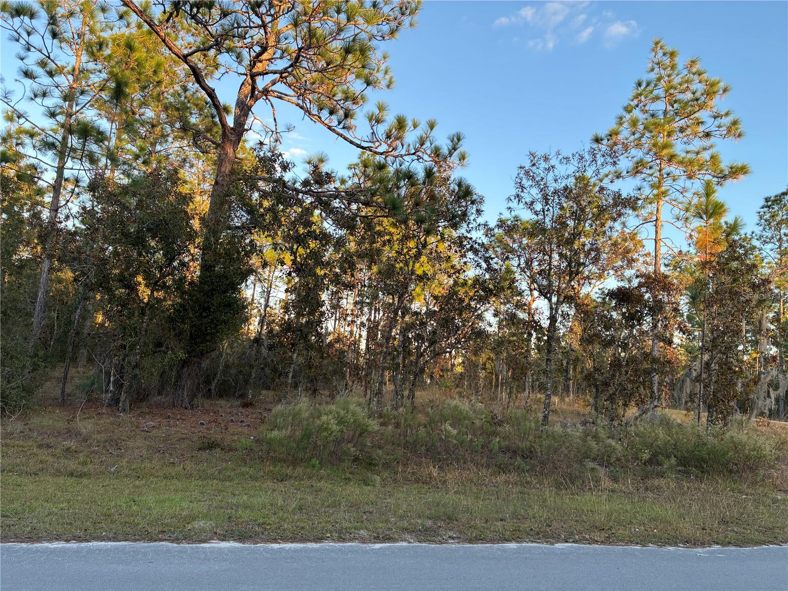 WILLISTON HYLNDS GOLF & C CLUB ESTATE - Land