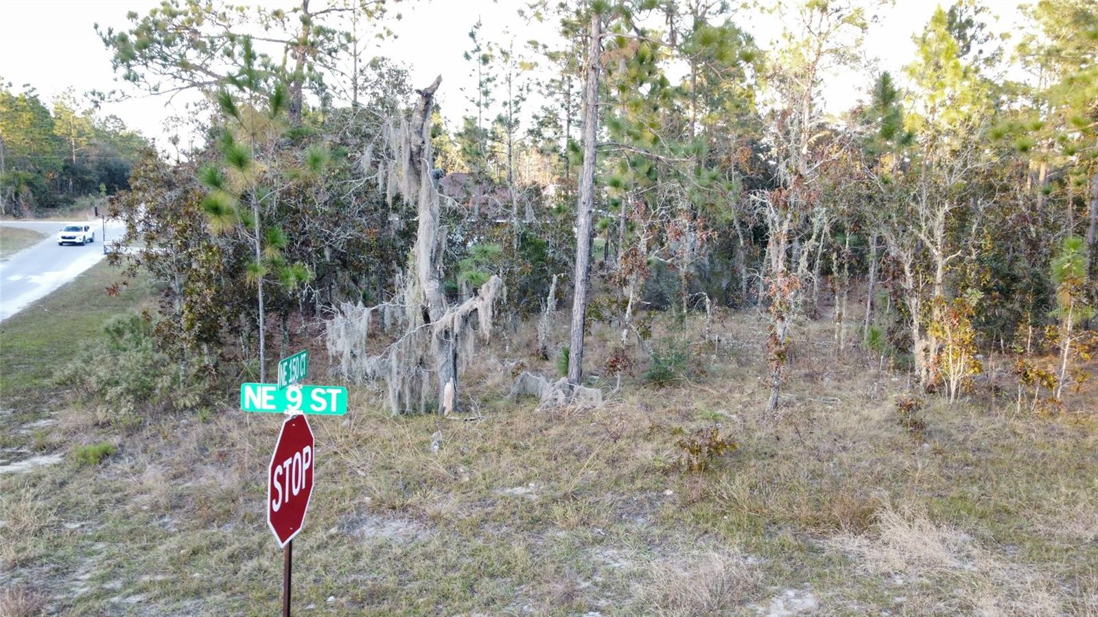 WILLISTON HYLNDS GOLF & C CLUB ESTATE - Land