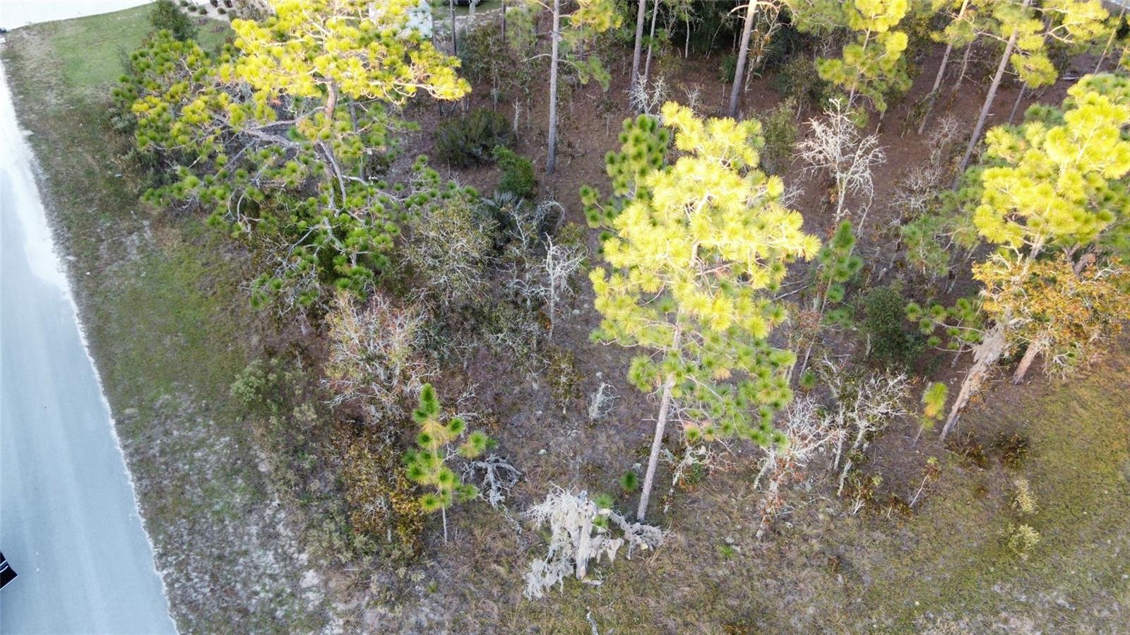 WILLISTON HYLNDS GOLF & C CLUB ESTATE - Land