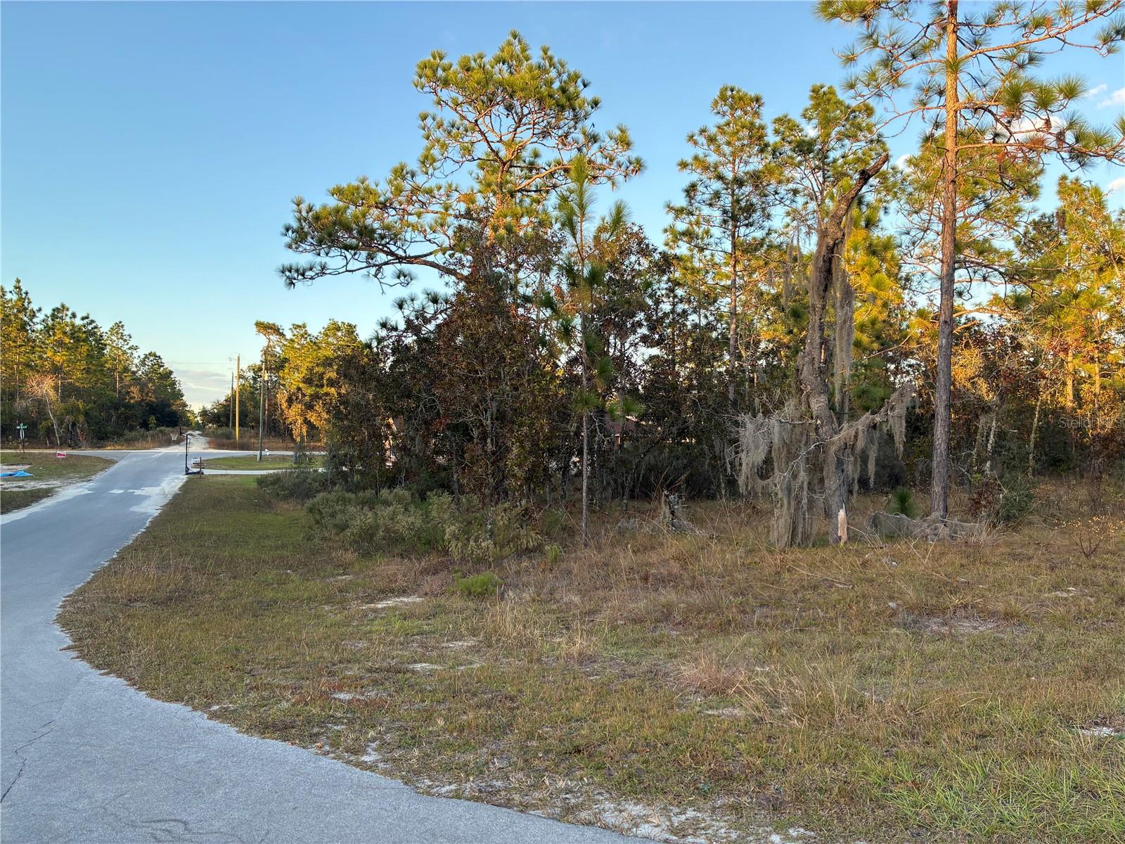 WILLISTON HYLNDS GOLF & C CLUB ESTATE - Land