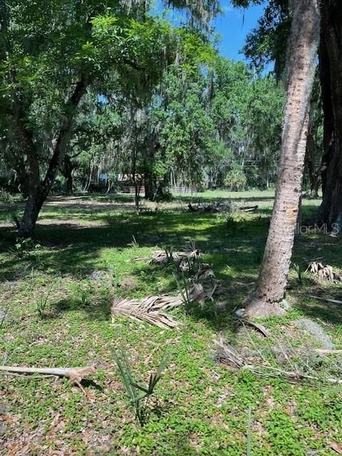 Tiny photo for 2992 N C 470, Lake Panasoffkee, FL 33538 (MLS # G5110150)