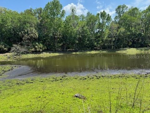 Tiny photo for 2992 N C 470, Lake Panasoffkee, FL 33538 (MLS # G5110150)