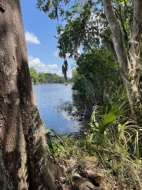 Tiny photo for 2992 N C 470, Lake Panasoffkee, FL 33538 (MLS # G5110150)