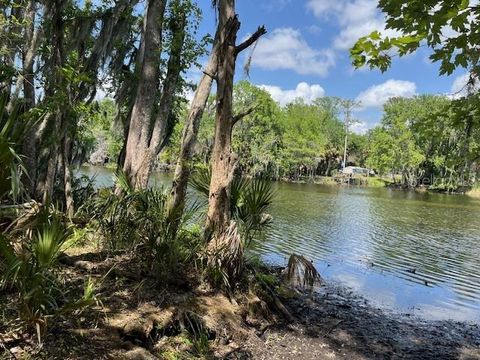 Tiny photo for 2992 N C 470, Lake Panasoffkee, FL 33538 (MLS # G5110150)
