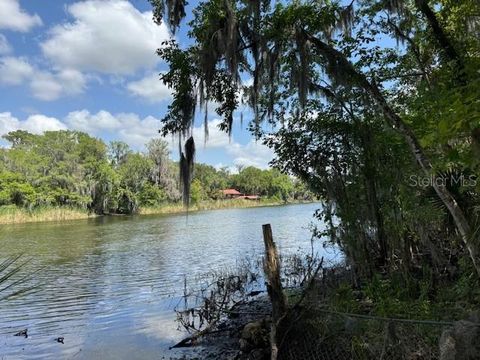Tiny photo for 2992 N C 470, Lake Panasoffkee, FL 33538 (MLS # G5110150)