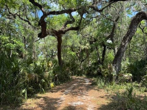 Tiny photo for 2992 N C 470, Lake Panasoffkee, FL 33538 (MLS # G5110150)