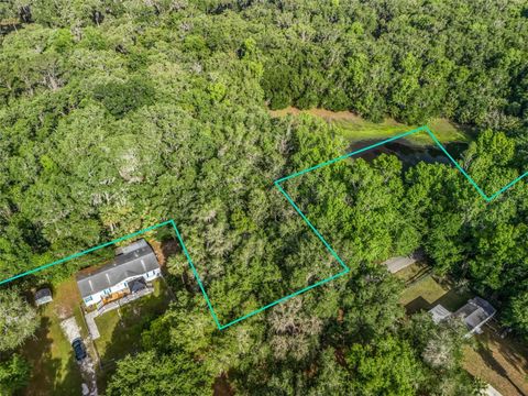 Tiny photo for 2992 N C 470, Lake Panasoffkee, FL 33538 (MLS # G5110150)
