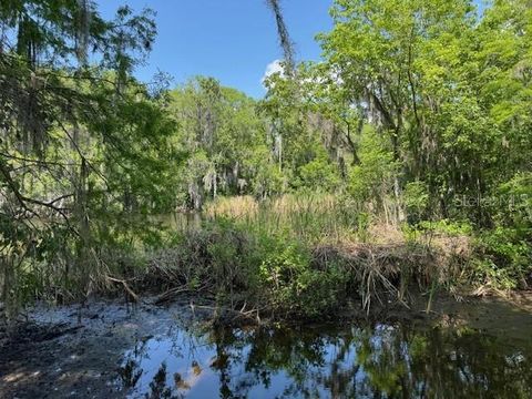 Tiny photo for 2992 N C 470, Lake Panasoffkee, FL 33538 (MLS # G5110150)