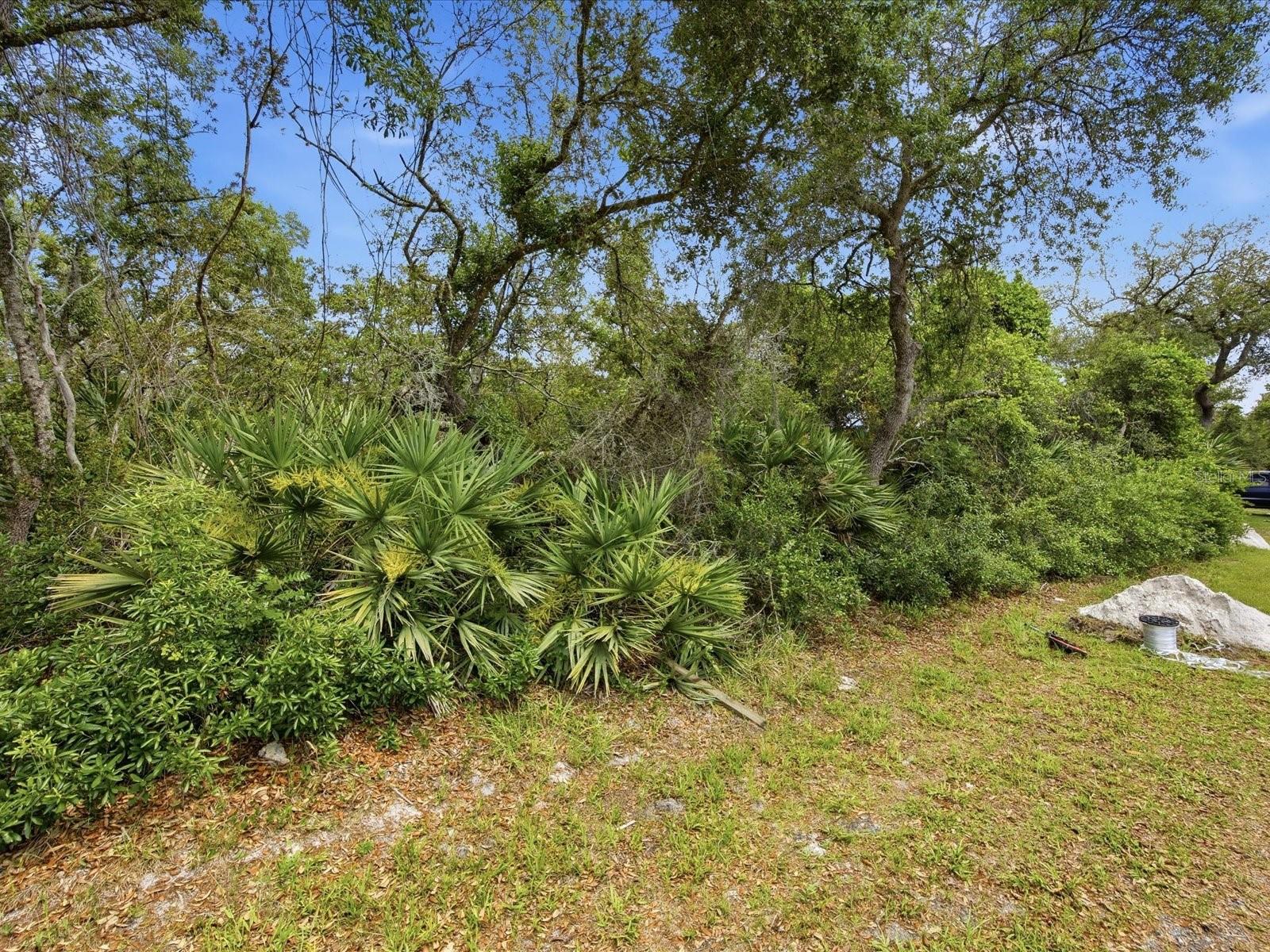 DAYTONA PARK ESTATES SEC C - Land