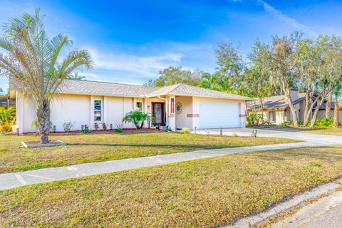 A home in PLANT CITY