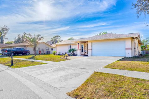 A home in PLANT CITY