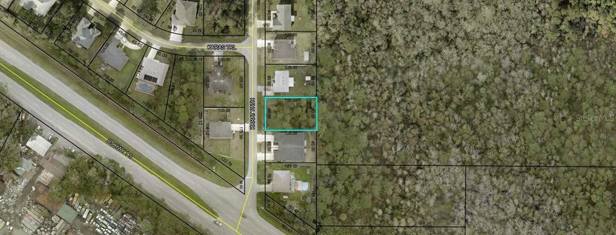 Build your dream home at 6 Karat Path in Palm Coast, Florida! Located in the desirable Quail Hollow neighborhood, this residential lot offers an excellent opportunity for a future primary residence or an investment property. The surrounding area is predominantly comprised of single-family homes, creating a well-established residential setting. Notably, the property is zoned DPX, which provides you with the flexibility to build a duplex—ideal for multi-generational living or income-producing potential. Conveniently situated near U.S. Route 1, the location allows for easy commuting north to historic St. Augustine or south to world-famous Daytona Beach. Enjoy the privacy and versatility of vacant land while remaining close to everything Palm Coast provides, including beautiful beaches, golf courses, parks, shopping, dining, healthcare facilities, and miles of scenic walking and biking trails. With no HOA and quick access to major roadways, this property is well-suited for builders, investors, or buyers looking to design a custom Florida home. Adding to its appeal, the lot backs up to approximately 344 acres of land owned by the Flagler County Board of Commissioners, currently offering additional privacy and a natural backdrop. Whether you plan to build now or hold for the future, 6 Karat Path delivers exceptional value, location, and potential in one of Florida’s desirable coastal communities.