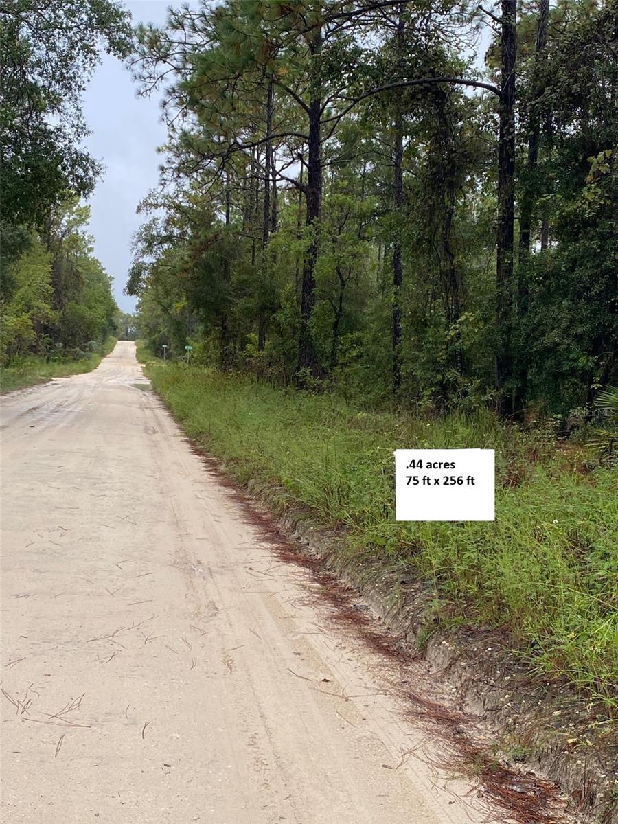 Photo of Tbd SW 27th Lane, Ocala, FL 34481 (MLS # O6448496)