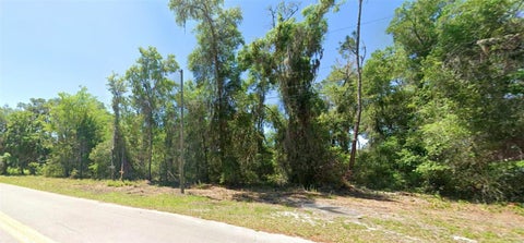 Tiny photo for 4362 E Mate Lane, Hernando, FL 34442 (MLS # S5152462)