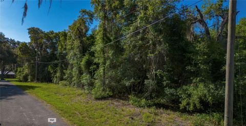 Tiny photo for 4362 E Mate Lane, Hernando, FL 34442 (MLS # S5152462)