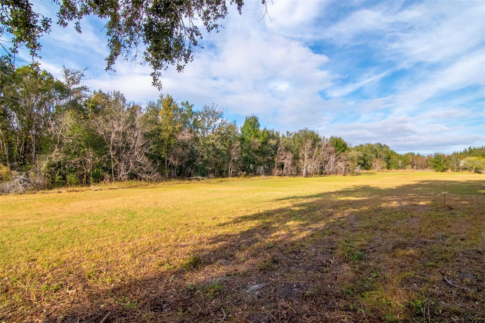 TURTLE LAKES - Residential