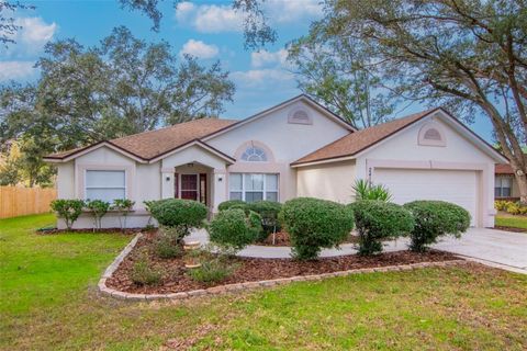 24195 LANDING DRIVE LUTZ FL 33559
