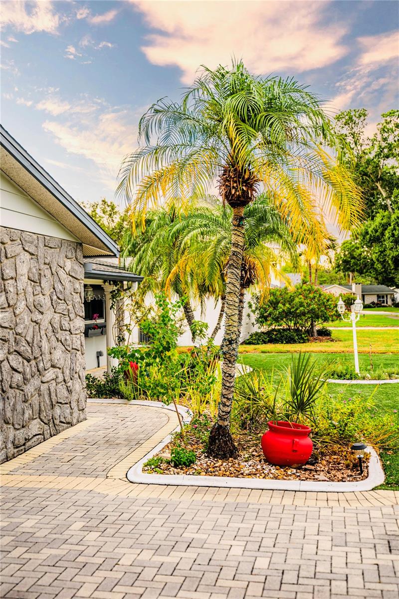 898 CORVETTE DRIVE