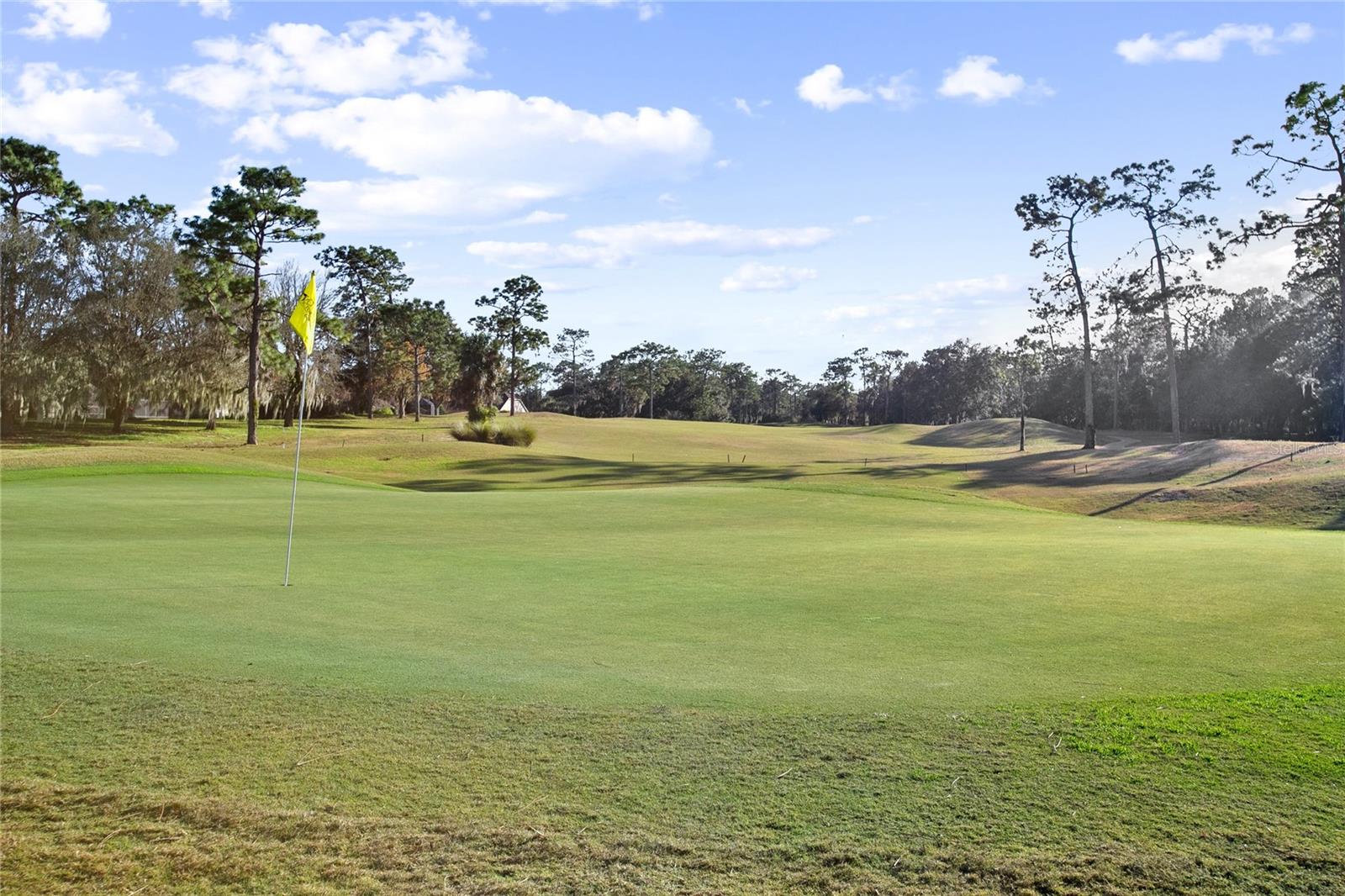 VICTORIA PARK SOUTHWEST INCREMENT - Residential