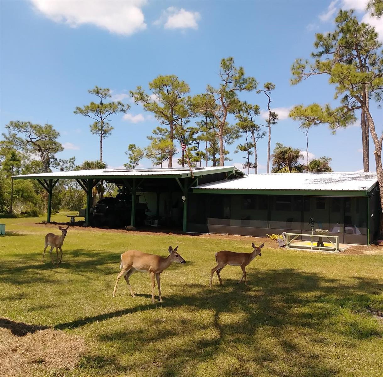 XX ROMOR RANCH AIRPORT