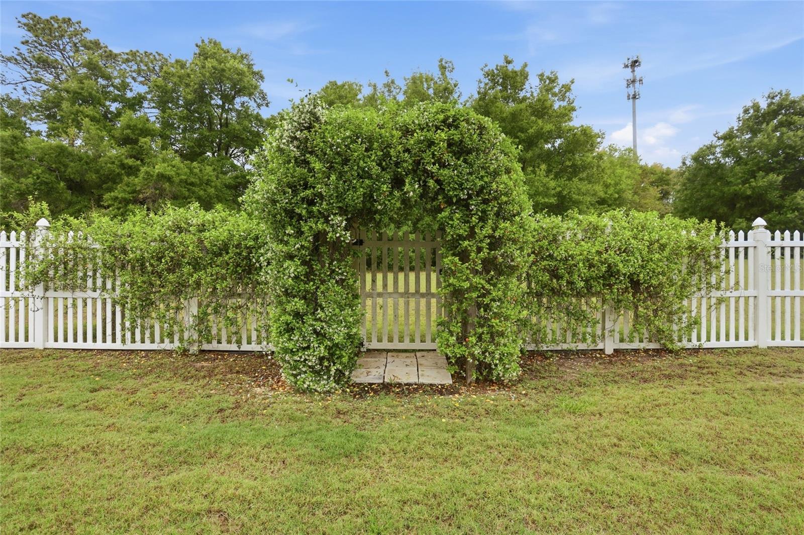 MOUNT DORA SUMMERBROOKE PH 01 - Residential