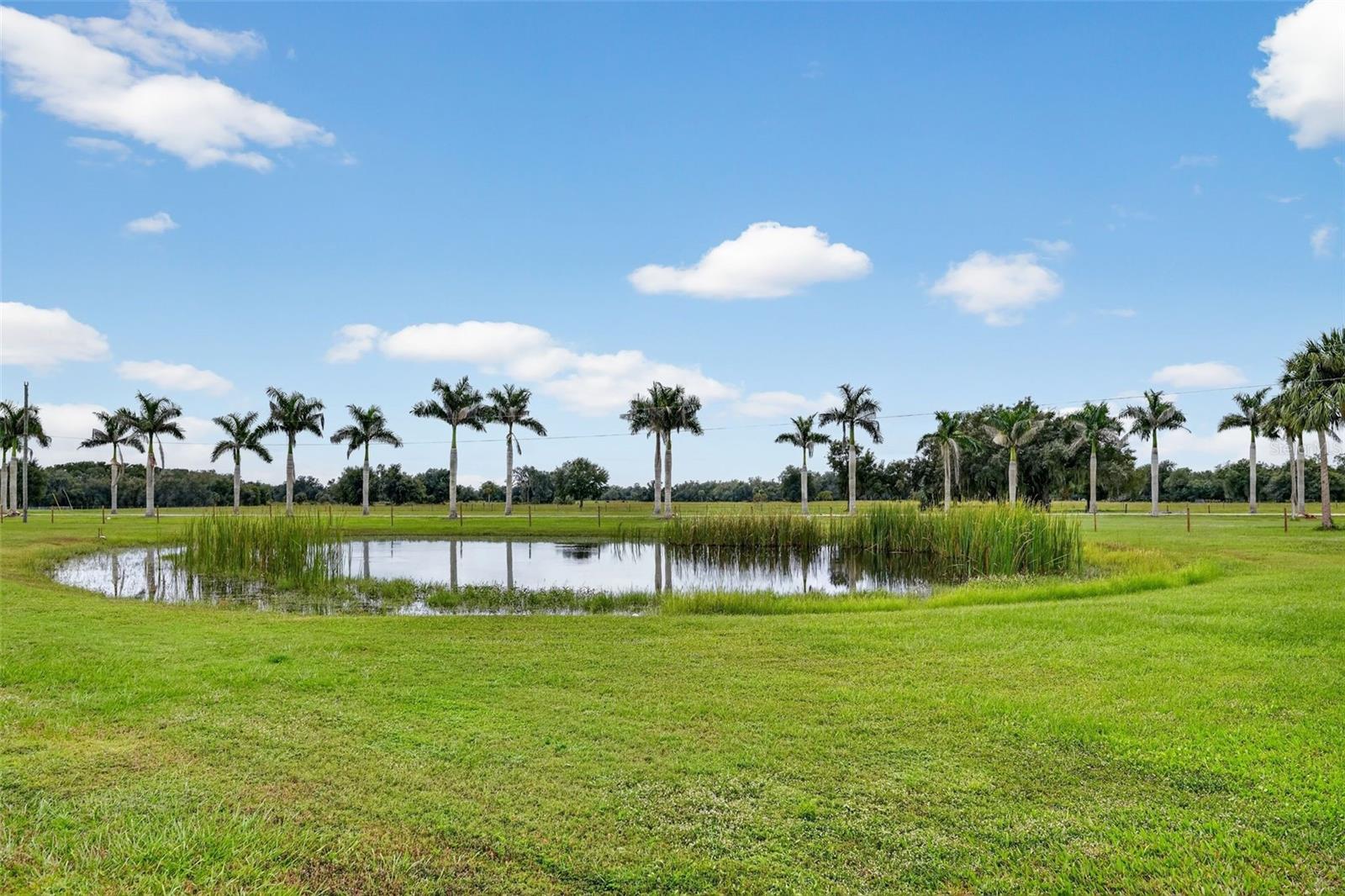 5420 SW COUNTY ROAD 769