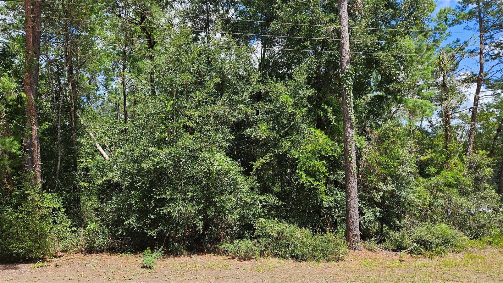 LAKESIDE HILLS - Land