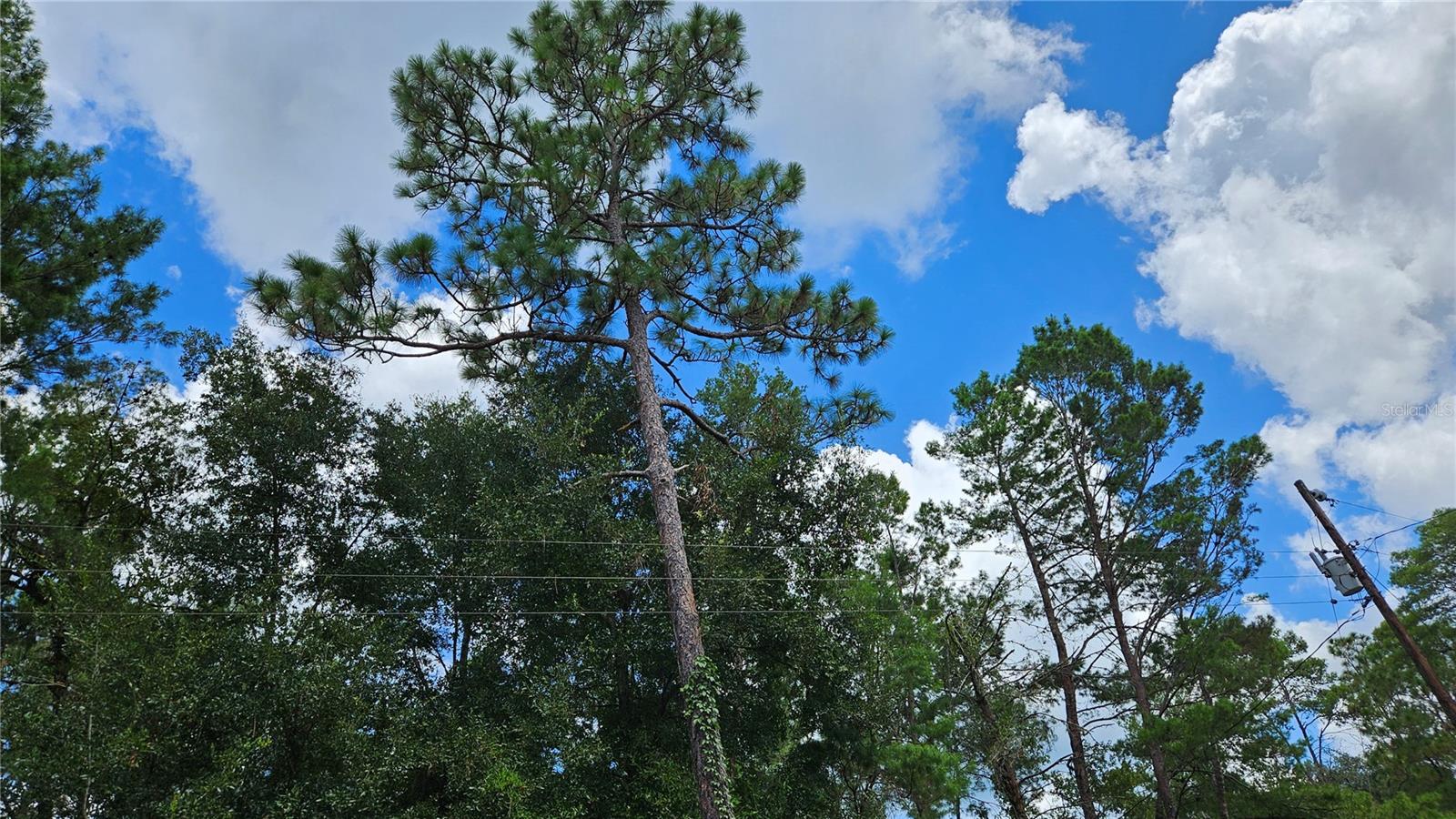 LAKESIDE HILLS - Land