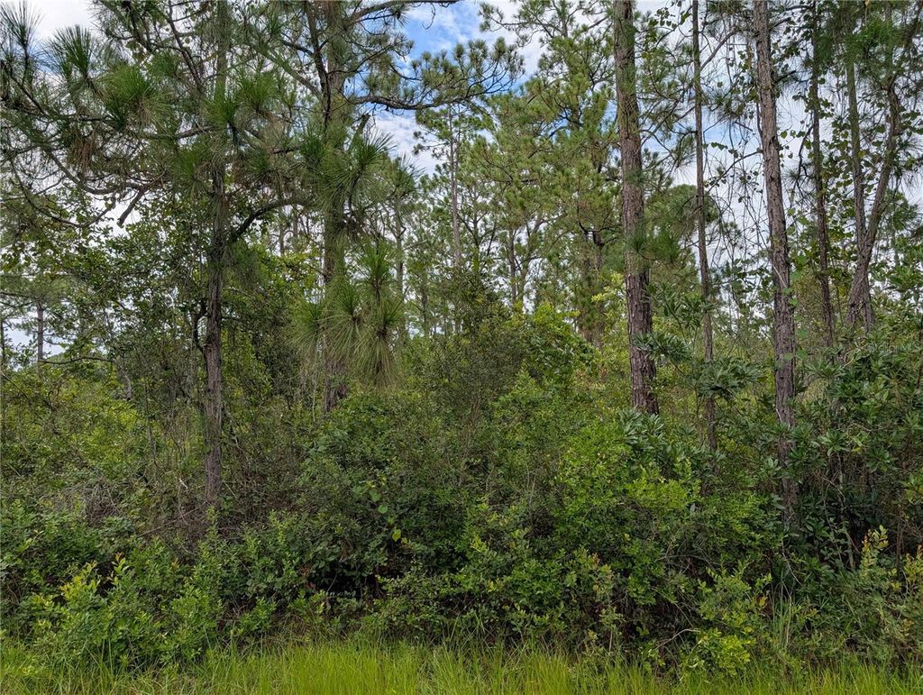 Photo of 302 Pandora Drive, Indian Lake Estates, FL 33855 (MLS # TB8415401)