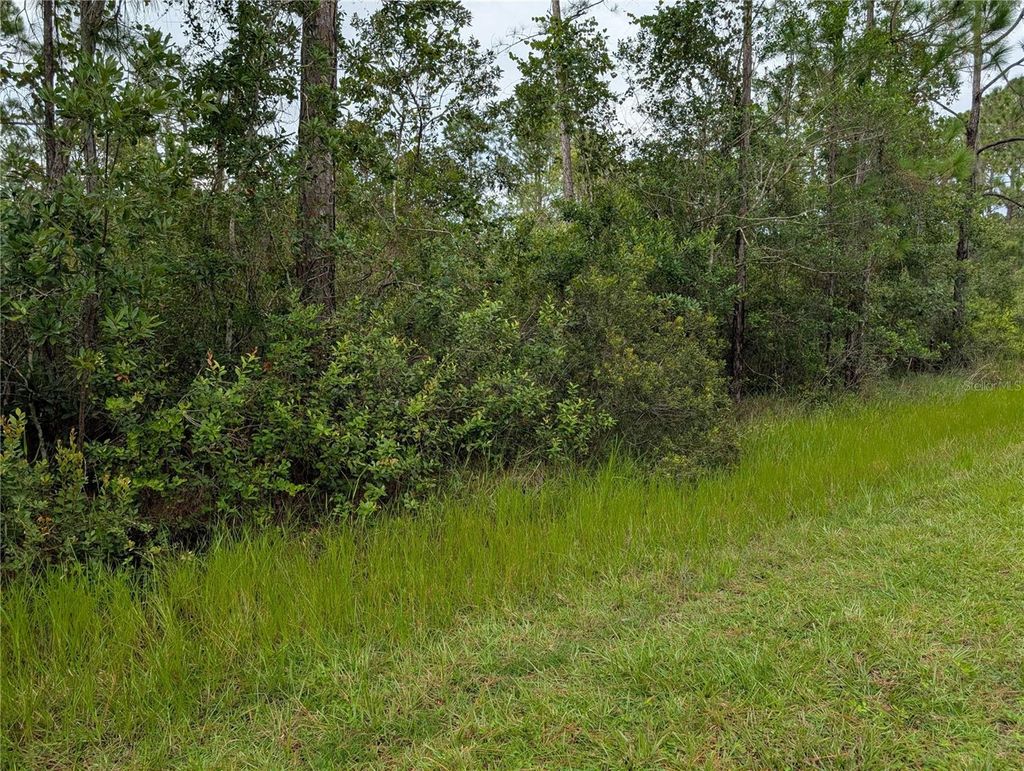 Photo of 302 Pandora Drive, Indian Lake Estates, FL 33855 (MLS # TB8415401)