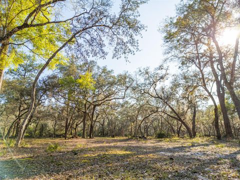 Tiny photo for 8600 NE 147th Avenue Road, Silver Springs, FL 34488 (MLS # O6405619)