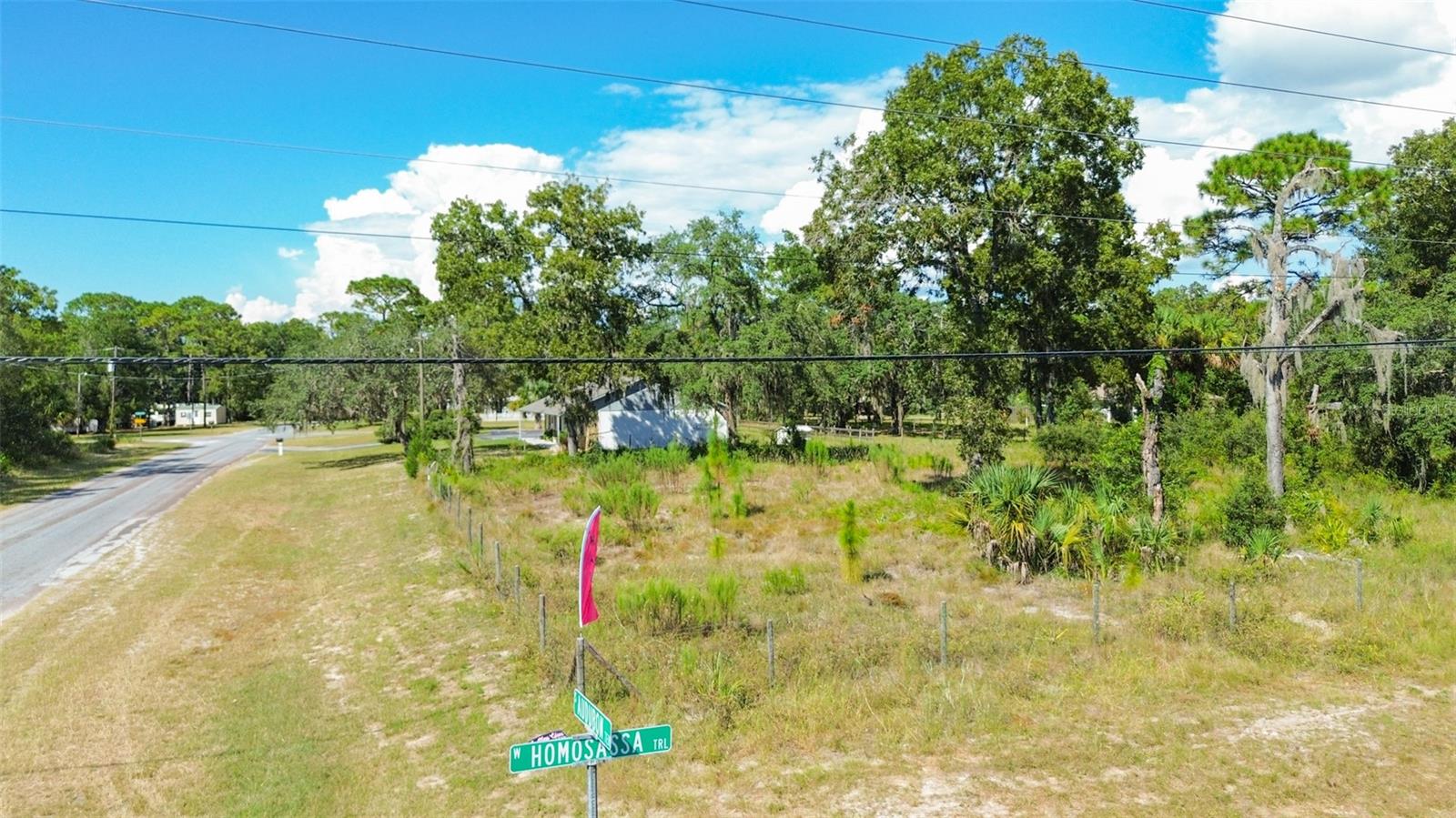 VILLA TERRACE U-8 OF HOMOSASSA - Land