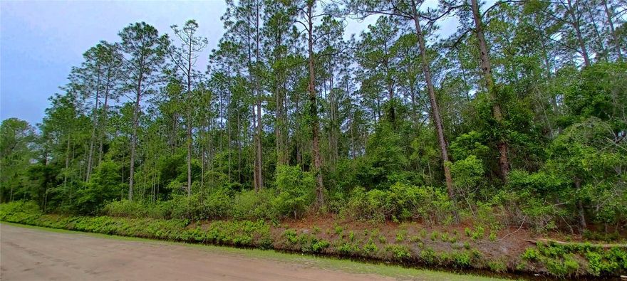 LOOKING TO OWN A PIECE OF THE AMERICAN DREAM, THEN THIS GREAT 1.1364 ACRE IS A PIECE OF LAND YOU SHOULD REALLY CONSIDER. CLOSE TO THE HISTORIC CITY OF ST AUGUSTINE AND BEACHES, AND NOT FAR FROM THE PALM COAST AND NOT TOO FAR FROM DISNEY WORLD, THE HOME OF OUR FAMOUS MINNIE AND MICKEY. AS PER COUNTY RECORDS, THE AREA IS ZONED X FOR FLOODING******THE OWNER WILL ALSO CONSIDER OWNER FINANCING******
