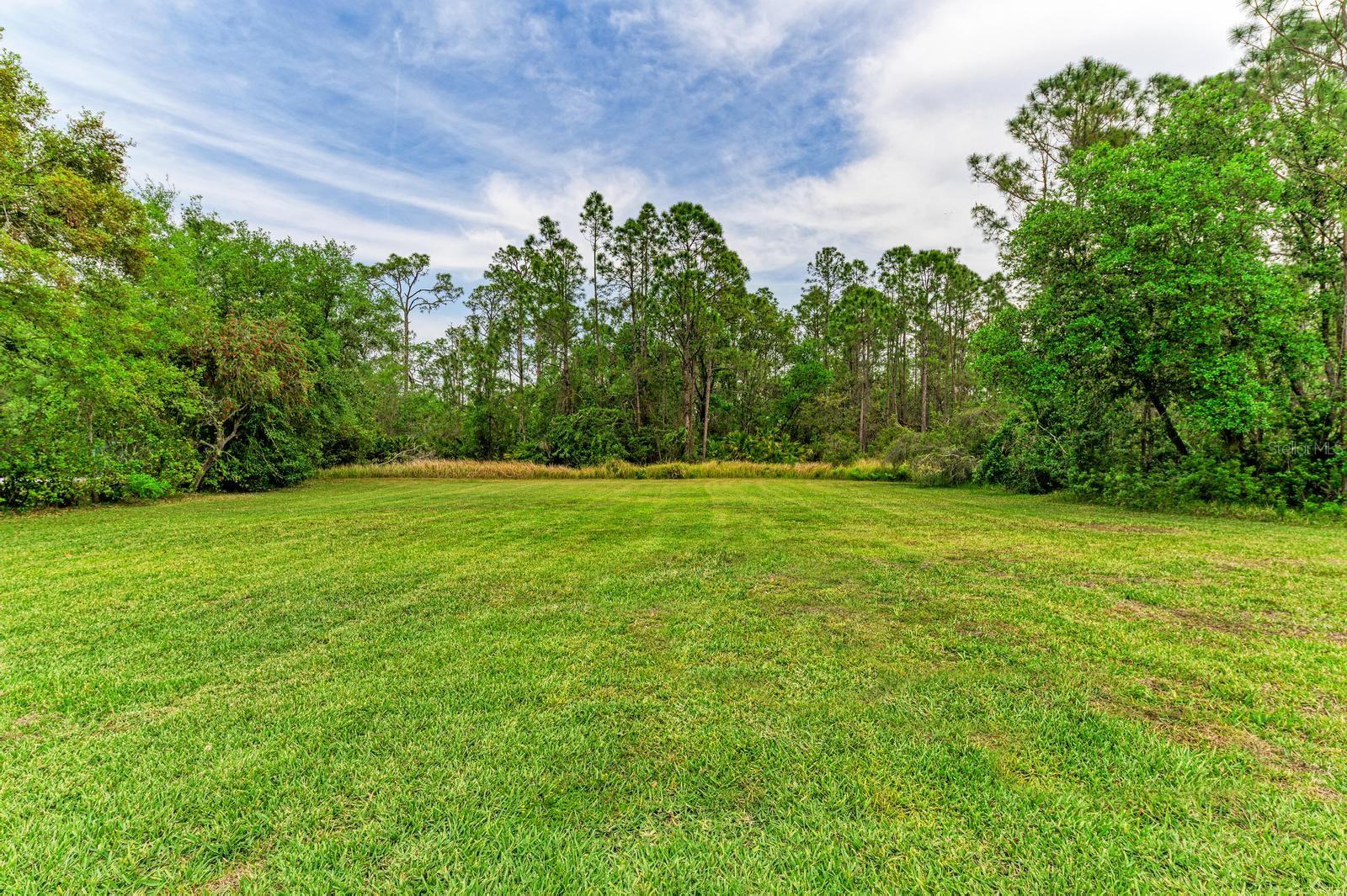 PRESERVE AT PANTHER RIDGE PH I - Residential