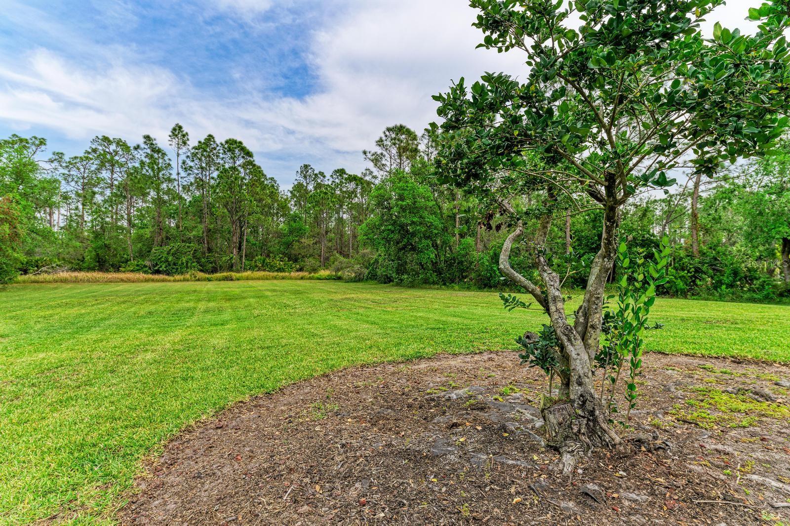 PRESERVE AT PANTHER RIDGE PH I - Residential