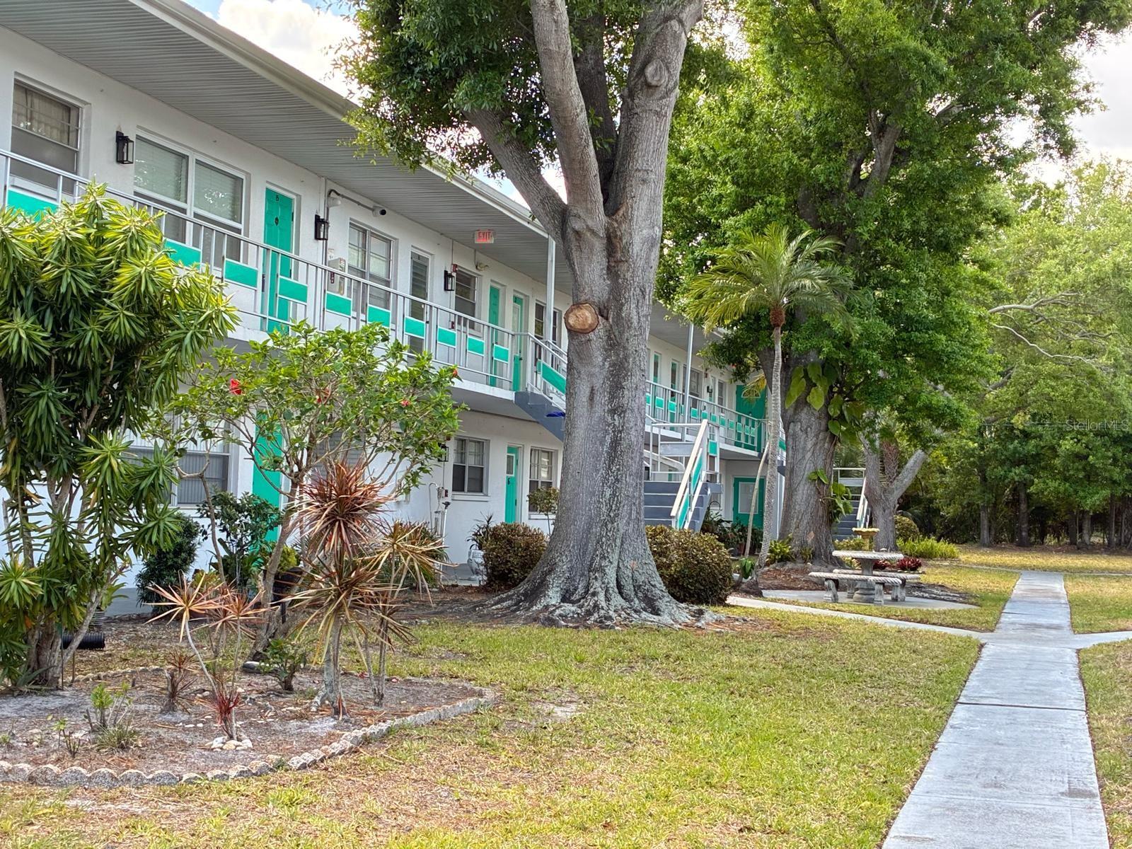 TOWN APTS CONDO - Residential