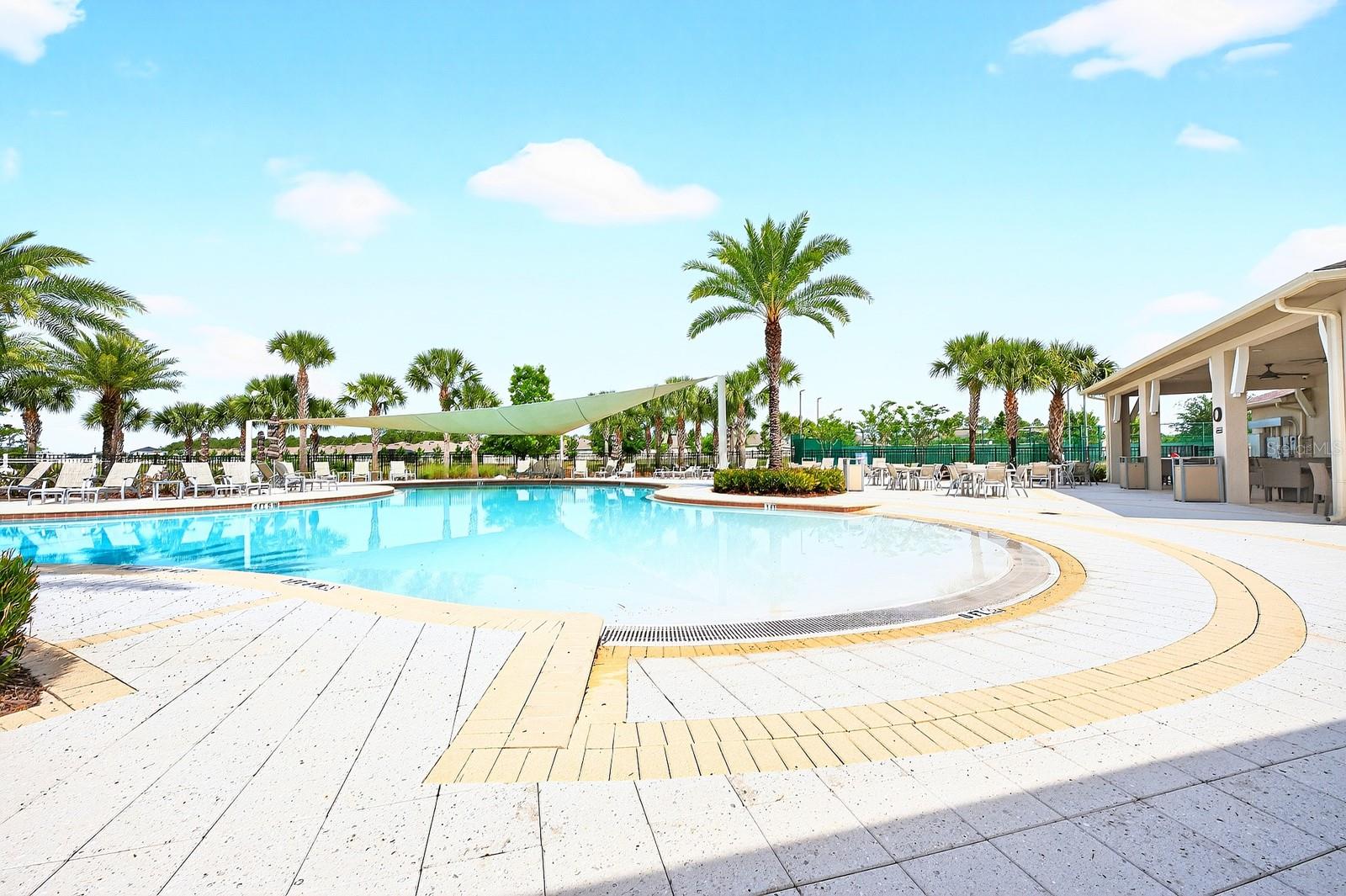 PALMS AT SERENOA - Residential