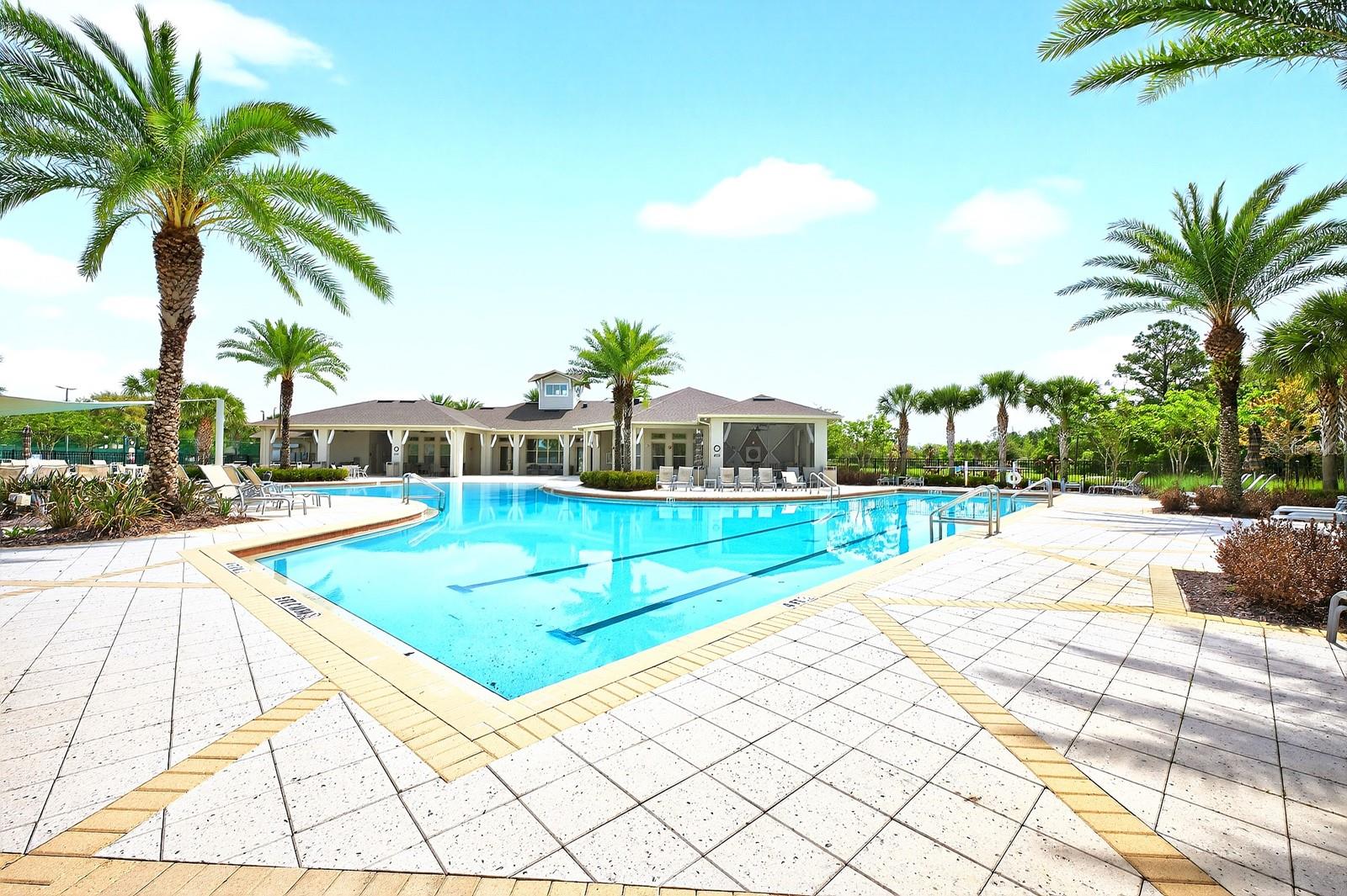 PALMS AT SERENOA - Residential