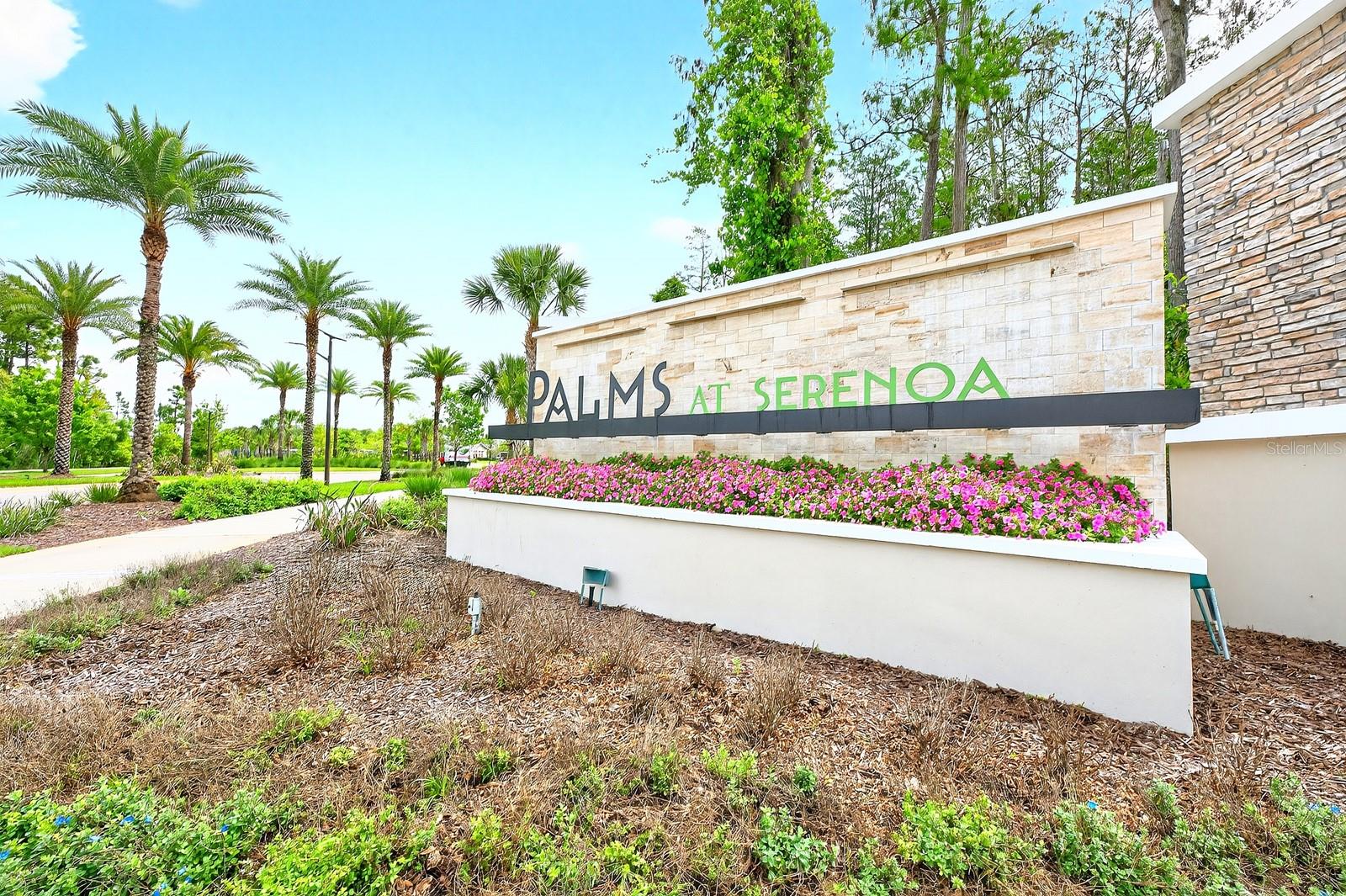 PALMS AT SERENOA - Residential